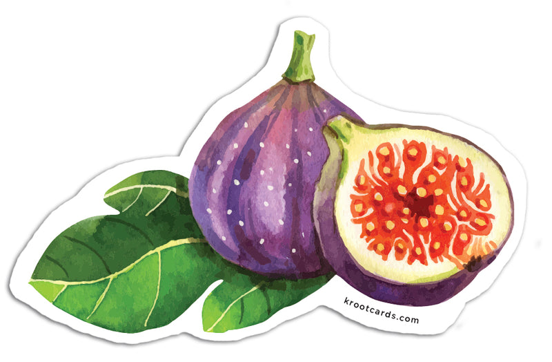 Figs Sticker buy